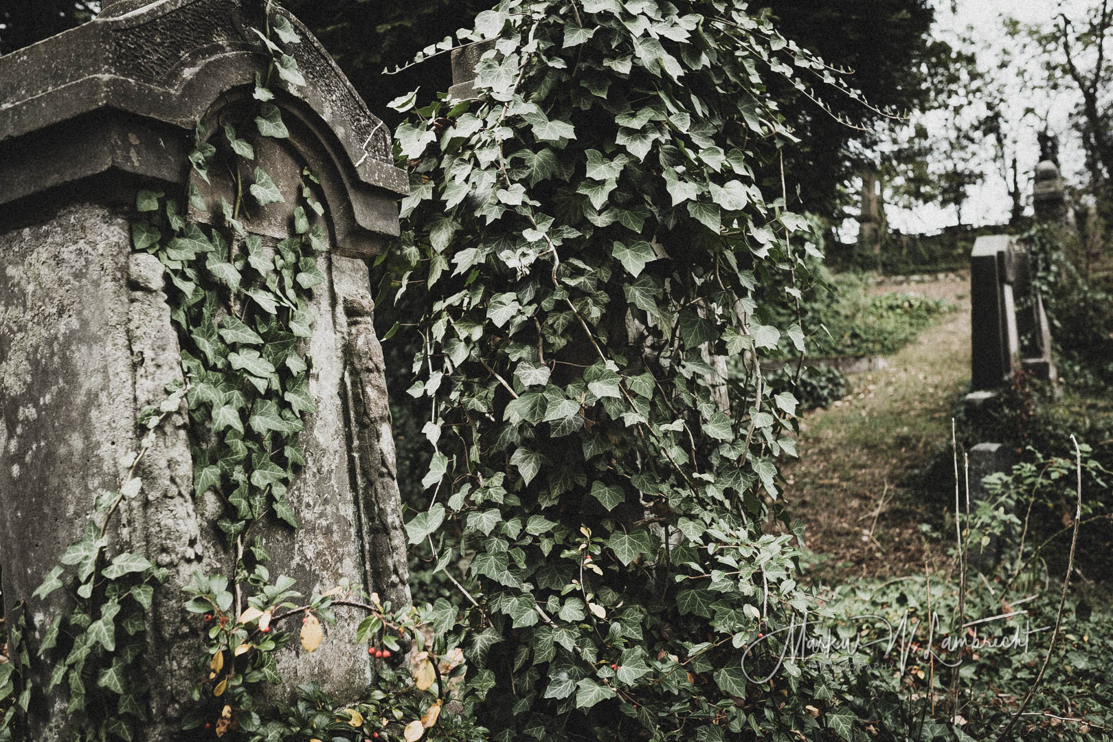 Rimbeck, Jüdischer Friedhof